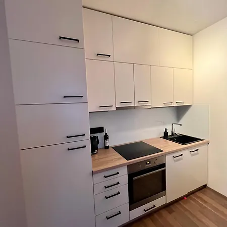 Modern Near Letnany Expo Apartmán